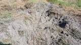  Klein Road - Photo 17