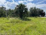 715 Young Avenue - Photo 3