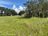 715 Young Avenue - Photo 5