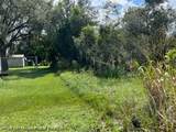 715 Young Avenue - Photo 6