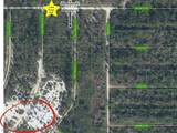 1227 Southern Pine Street - Photo 6