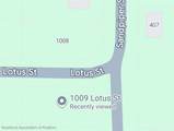 1009 Lotus Street - Photo 2