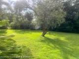 2702 Orange Grove Drive - Photo 4
