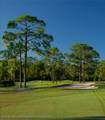4749 Myrtle Beach Drive - Photo 9