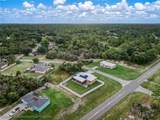 920 Tea Rose Street - Photo 41