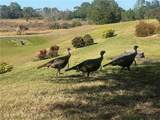 4505 Birdies Court - Photo 36