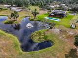 339 Mini Ranch Road - Photo 48
