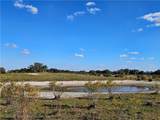 320 Grigsby Road - Photo 12