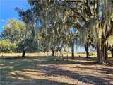320 Grigsby Road - Photo 14