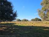 320 Grigsby Road - Photo 5
