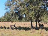 320 Grigsby Road - Photo 8