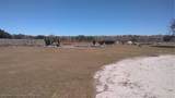 12051 Avon Park Cut Off Road - Photo 8
