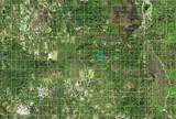 5950 Hwy 630 Highway - Photo 3