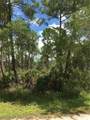 1159 Macaw Avenue - Photo 4
