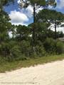 1159 Macaw Avenue - Photo 5