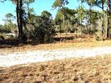 547 Branchwood Avenue - Photo 3
