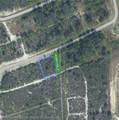 4466 Mindello Street - Photo 1