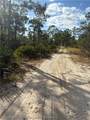 7106 Orchid Place - Photo 1