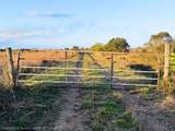 524 Lott Grade - Photo 13