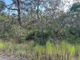 13340 Lynwood Street - Photo 4