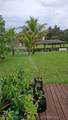 3028 Beech Street - Photo 40