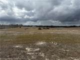 1/2 Lot 12B Ben Hill Griffin Road - Photo 5
