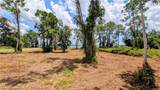 3005 Jack Creek Drive - Photo 7