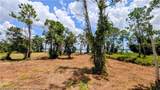 3005 Jack Creek Drive - Photo 9