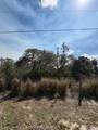 205 Orange Street - Photo 11