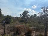 205 Orange Street - Photo 2