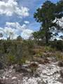 205 Orange Street - Photo 20