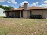 709 Egret Street - Photo 2