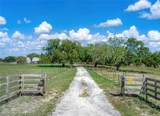 925 Oak Island Road - Photo 42
