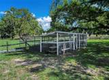 925 Oak Island Road - Photo 47