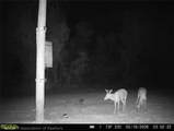 6135 Sr-66 - Photo 22