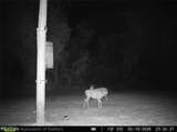 6135 Sr-66 - Photo 23