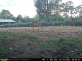6135 Sr-66 - Photo 24