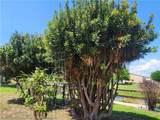 124 Bougainvillea Street - Photo 22