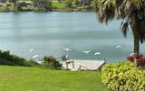 603 Lake Blue Drive - Photo 41