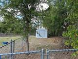 4626 Cadagua Drive - Photo 12