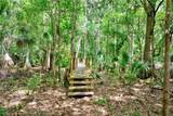 2500 Arbuckle Shores Road - Photo 6