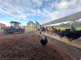 3046 Bowden Road - Photo 43
