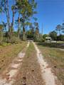 1991 Rosalie Lake Road - Photo 42