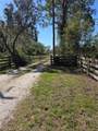 1991 Rosalie Lake Road - Photo 44