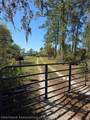1991 Rosalie Lake Road - Photo 45