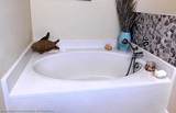8047 Ancha Street - Photo 20