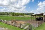 1126 County Road 665 - Photo 47