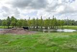 1126 County Road 665 - Photo 49