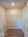 5553 Castania Drive - Photo 10