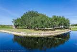 61 Leisure Lane - Photo 8